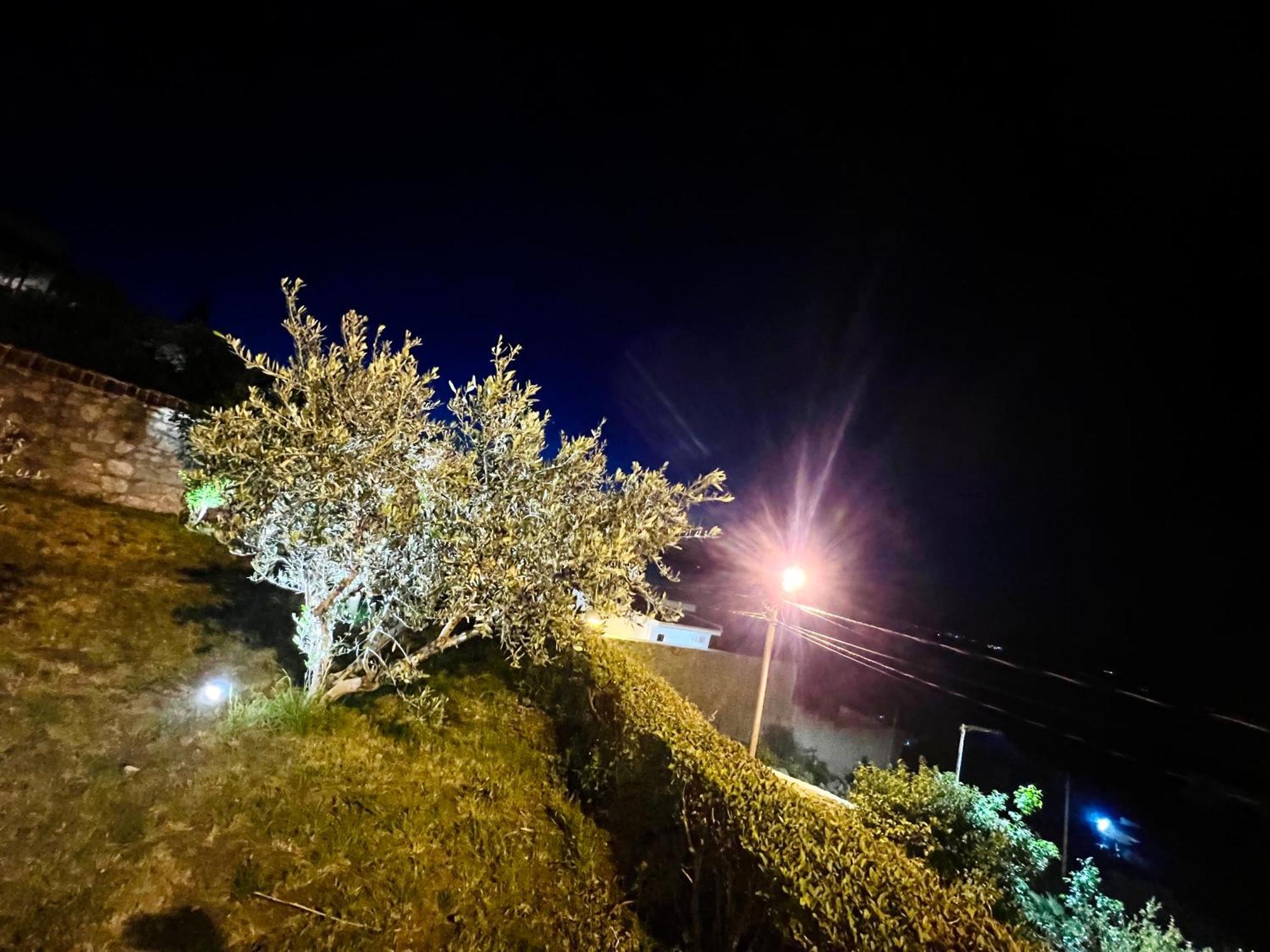 Iart Residence Shiroka Bagian luar foto